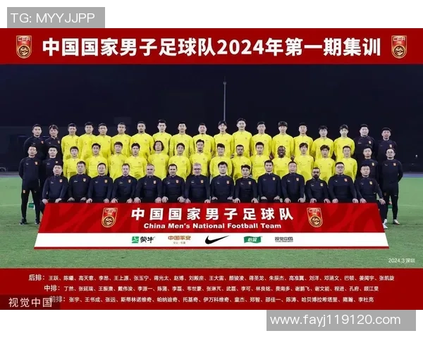 杭州足球队配合风格深度解析与战术对比分析