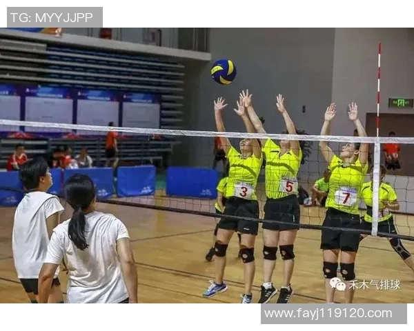 杭州排球队的辉煌征程与精英赛的突破之路探秘